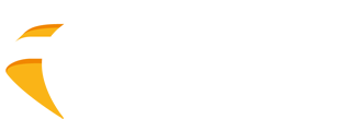 Flash logo